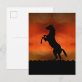 Gratis Paard Bij Zonsondergang Briefkaart (Voorkant / Achterkant)