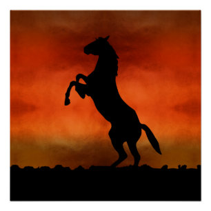 Gratis Paard Bij Zonsondergang Perfect Poster