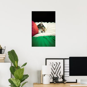 GRATIS PALESTINA Vlag Kat Poster