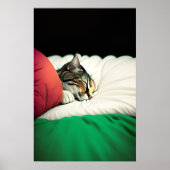 GRATIS PALESTINA Vlag Kat Poster (Voorkant)