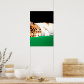 GRATIS PALESTINA Vlag Kat Poster (Keuken)