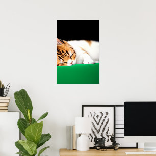 GRATIS PALESTINA Vlag Kat Poster