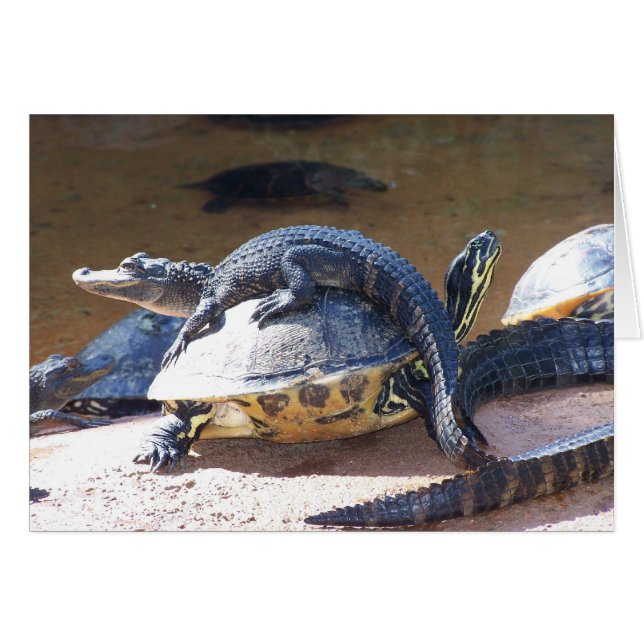 Gratis Ride (Voorkant Horizontaal)