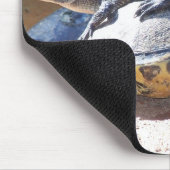 Gratis Ride Muismat (Hoek)