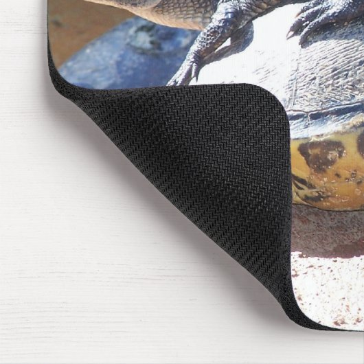 Gratis Ride Muismat (Hoek)