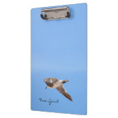 Gratis Spirit Zeemeeuw in Vlucht Sky Blue Coastal Klembord (Links)