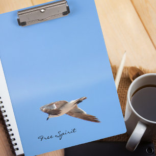 Gratis Spirit Zeemeeuw in Vlucht Sky Blue Coastal Klembord
