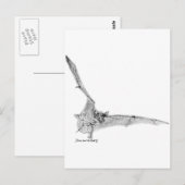 Gratis tapijtbank briefkaart (Voorkant / Achterkant)
