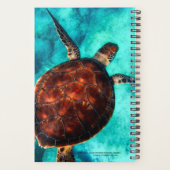 Gratis voor Roam Seaturtle Planner (Achterkant)