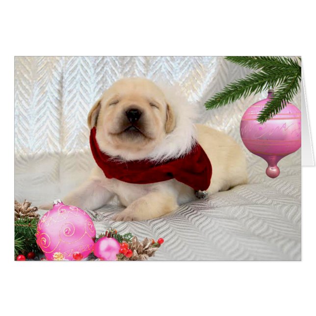 Gratis week 2 Roze (Voorkant Horizontaal)