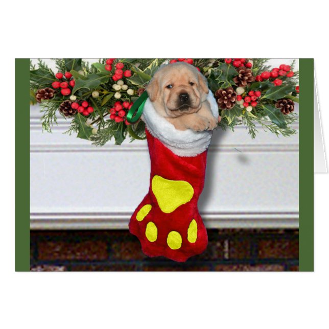 Gratis week 3 Geel (Voorkant Horizontaal)