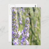 Gratitude Briefkaart (Voorkant / Achterkant)