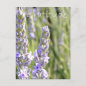 Gratitude Briefkaart (Voorkant)