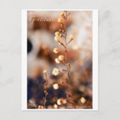 GRATITUDE BRIEFKAART (Voorkant)