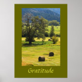 Gratitude Inspirerend Poster (Voorkant)