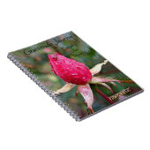 Gratitude Journal: Afbeelding van Richard Copeland Notitieboek (Rechterzijde)