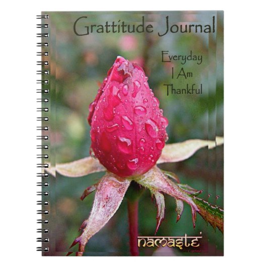 Gratitude Journal: Afbeelding van Richard Copeland Notitieboek (Voorkant)