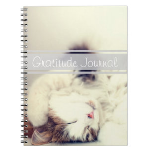 Gratitude Journal Slapende Kat Aanpasbare Tekst Notitieboek