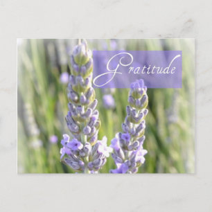 Gratitude Lavender Floral Post Card Briefkaart