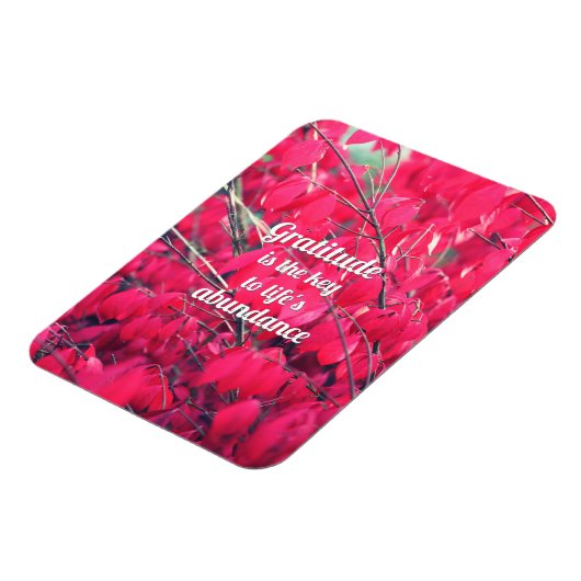 Gratitude Magneet (Linkerzijde)