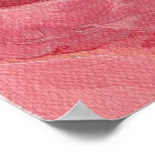 Gratitude Pink Rose Poster (Hoek)