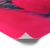 Gratitude Poster (Hoek)