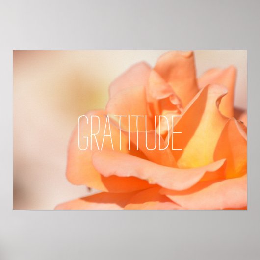Gratitude Poster (Voorkant)