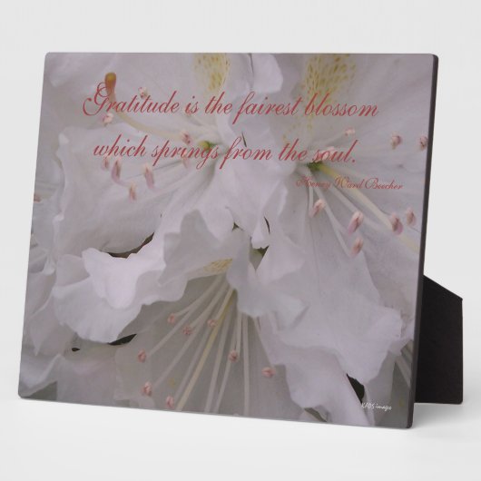 Gratitude Rhododendrons Fotoplaat (Zijkant)