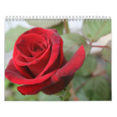 Gratitude Roos Lovers Calendar Kalender (Hoes)