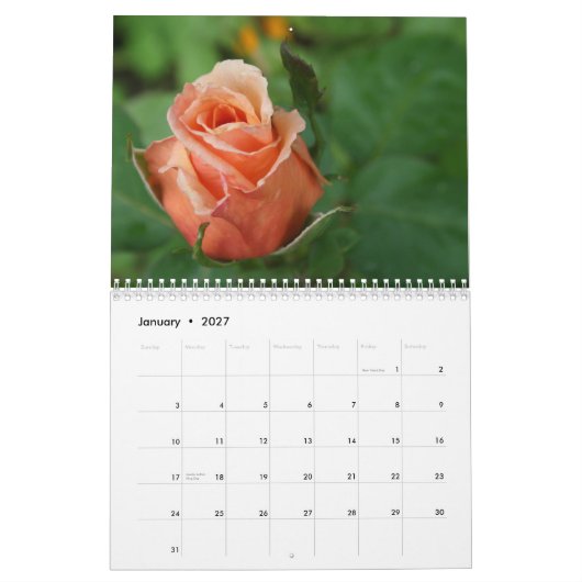 Gratitude Roos Lovers Calendar Kalender (Jan 2027)