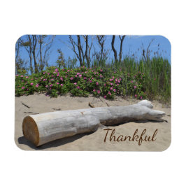 Gratitude Seashore Magneet