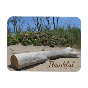 Gratitude Seashore Magneet