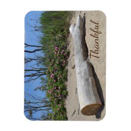 Gratitude Seashore Magneet