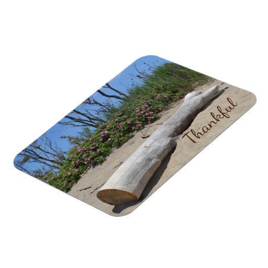 Gratitude Seashore Magneet (Linkerzijde)