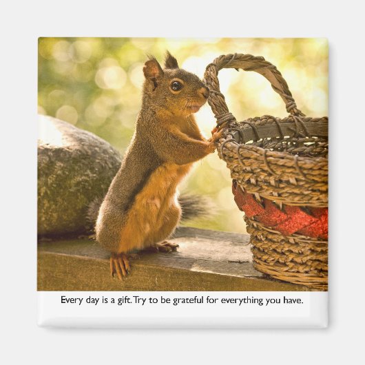 Gratitude Squirrel Magneet (Voorkant)