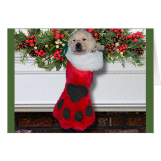 Gratitude week 3 zwart