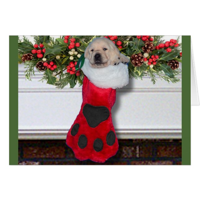 Gratitude week 3 zwart (Voorkant Horizontaal)