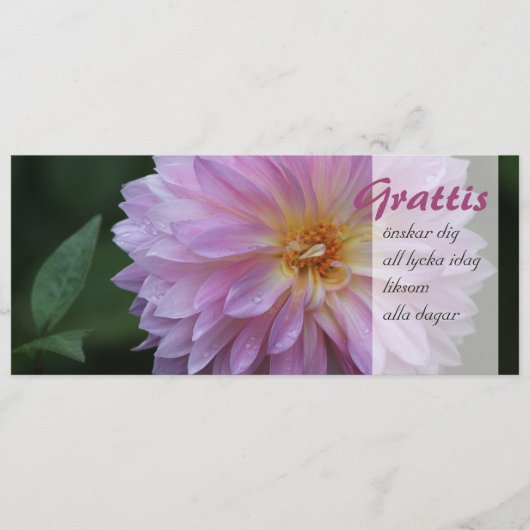 Grattis Önskar graaft alle lycka idag CC0767 (Voorkant)