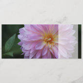 Grattis Önskar graaft alle lycka idag CC0767 (Achterkant)