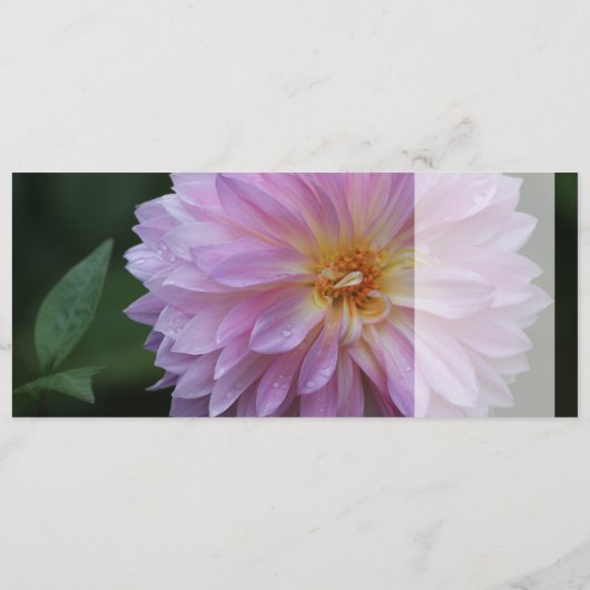 Grattis Önskar graaft alle lycka idag CC0767 (Achterkant)