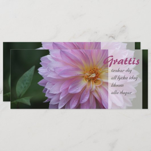 Grattis Önskar graaft alle lycka idag CC0767 (Voorkant / Achterkant)