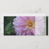 Grattis Önskar graaft alle lycka idag CC0767 (Achterkant)