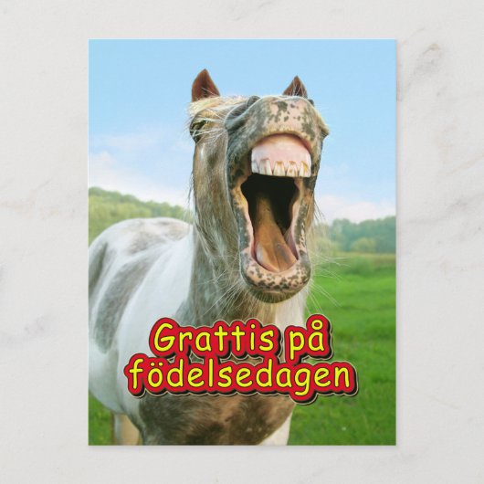 Grattis på födelsedagen briefkaart (Voorkant)