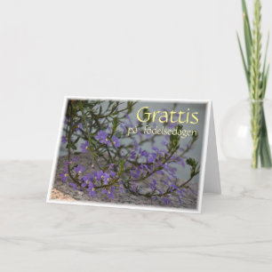 Grattis på födelsedagen CC0513 Wenskaart Kaart