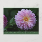 Gratulerar till konfirmationen CC0503 Briefkaart (Voorkant)