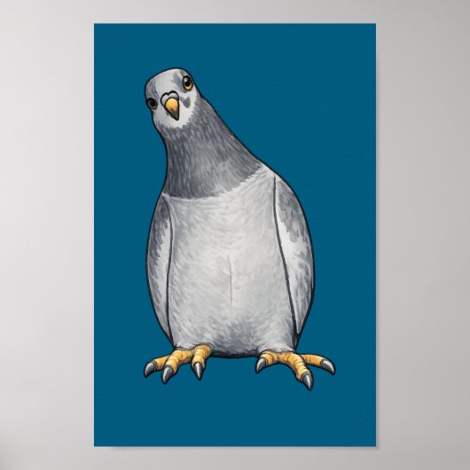 Grau weiße Tauben - Türkises Poster (Voorkant)
