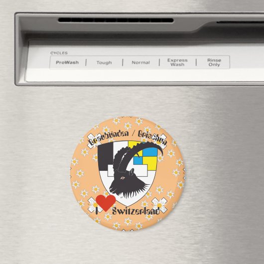 Graubünden Schweiz Magnet (Insitu (Vaatwasser))