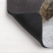 Graue Gartenwanze buggy stink Muismat (Hoek)