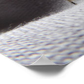 Graue Gartenwanze buggy stink Poster (Hoek)