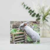 graues Häschen das first Briefkaart (Staand voorkant)